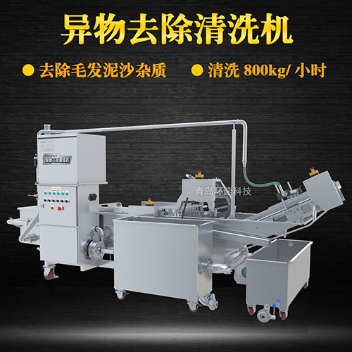 商用專業(yè)果蔬清洗機，氣泡清洗，清洗800kg小時