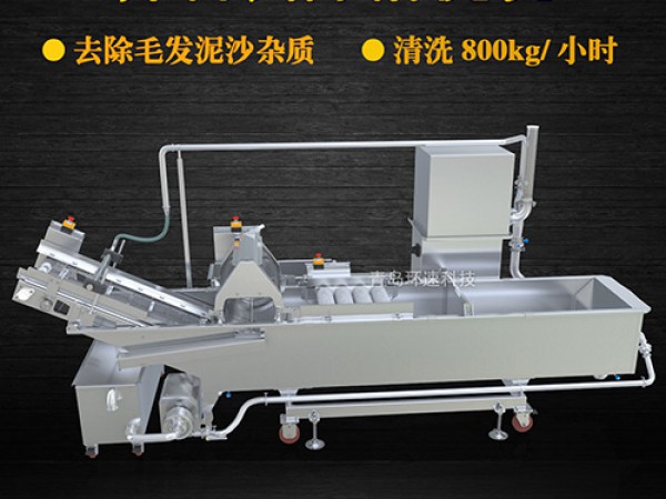 蔬菜清洗機(jī)，氣泡清洗，清洗800kg/小時(shí)